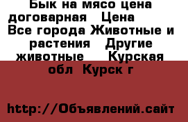 Бык на мясо цена договарная › Цена ­ 300 - Все города Животные и растения » Другие животные   . Курская обл.,Курск г.